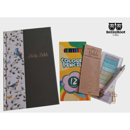 Beautiful Wisdom Bible Bundle – Juniper Songbird Edition Beautiful Wisdom Bible Bundle – Juniper Songbird Edition